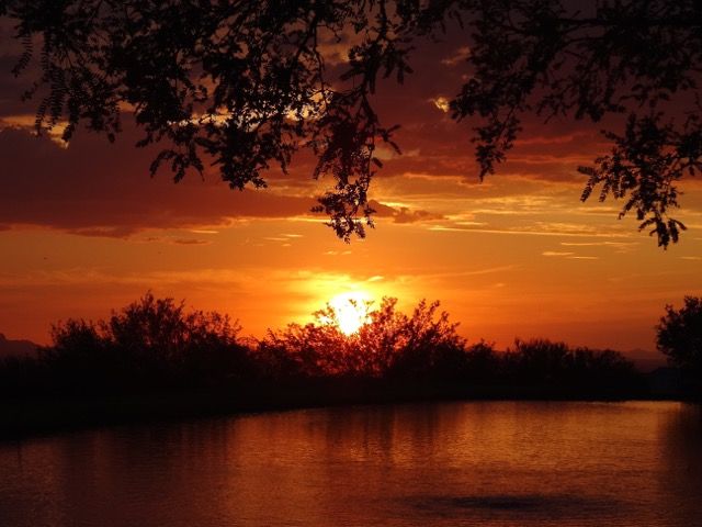 Sunsets